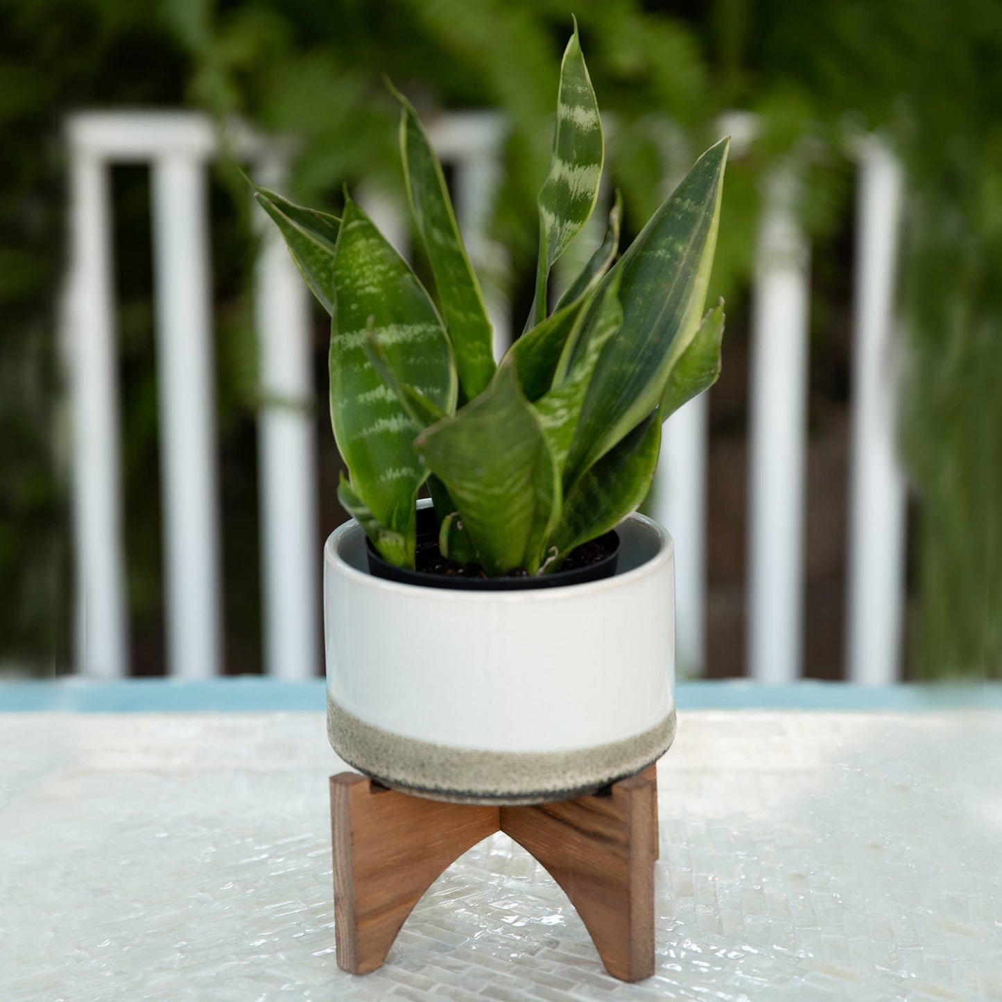 Ceramic Planter on Wood Stand