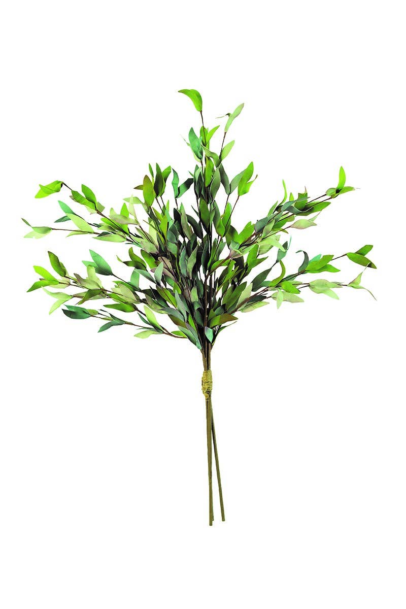 BOTANICA #2397