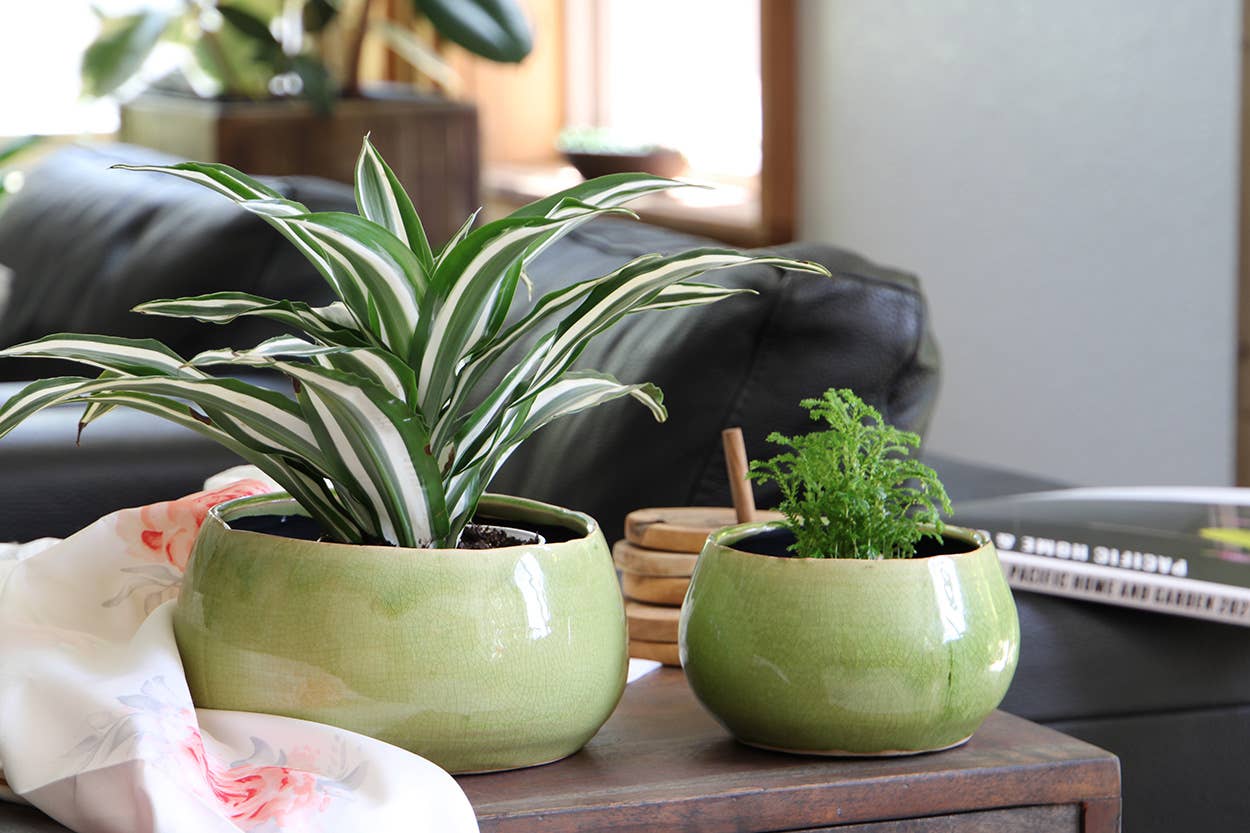 Jewel freeform bowl, pistachio crackle