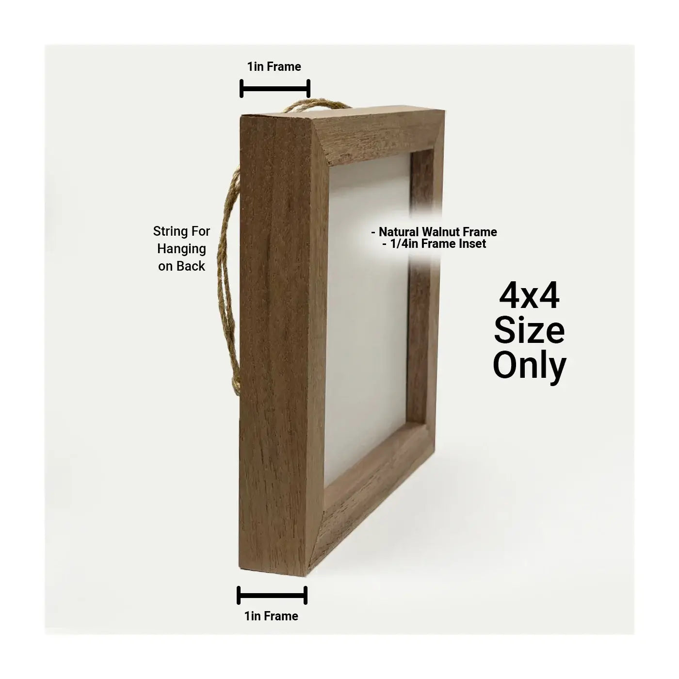 Autumn In Bloom III By Lisa Audit