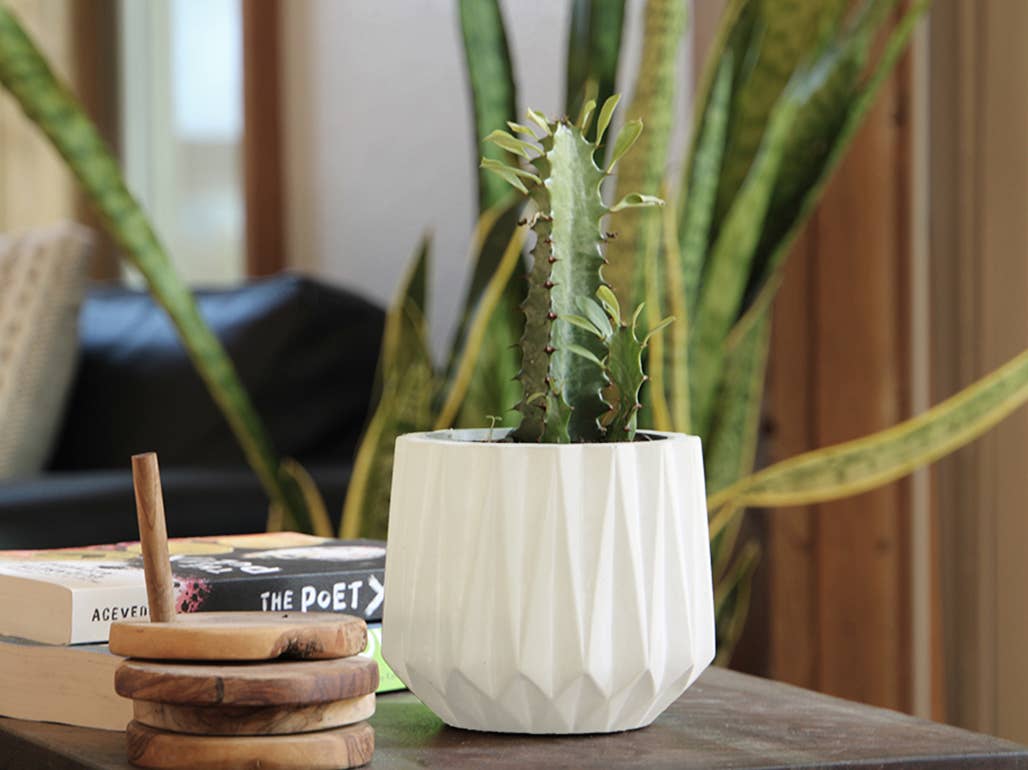 Aurora Geometric Concrete Tumbler Planter