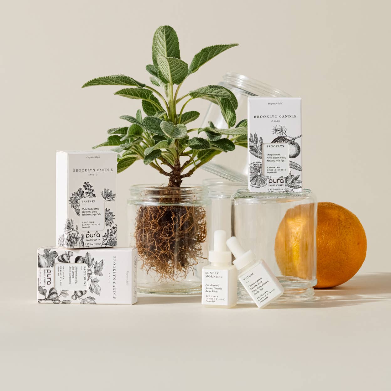 Sunday Morning by Brooklyn Candle Studio - Pura Scent Refill