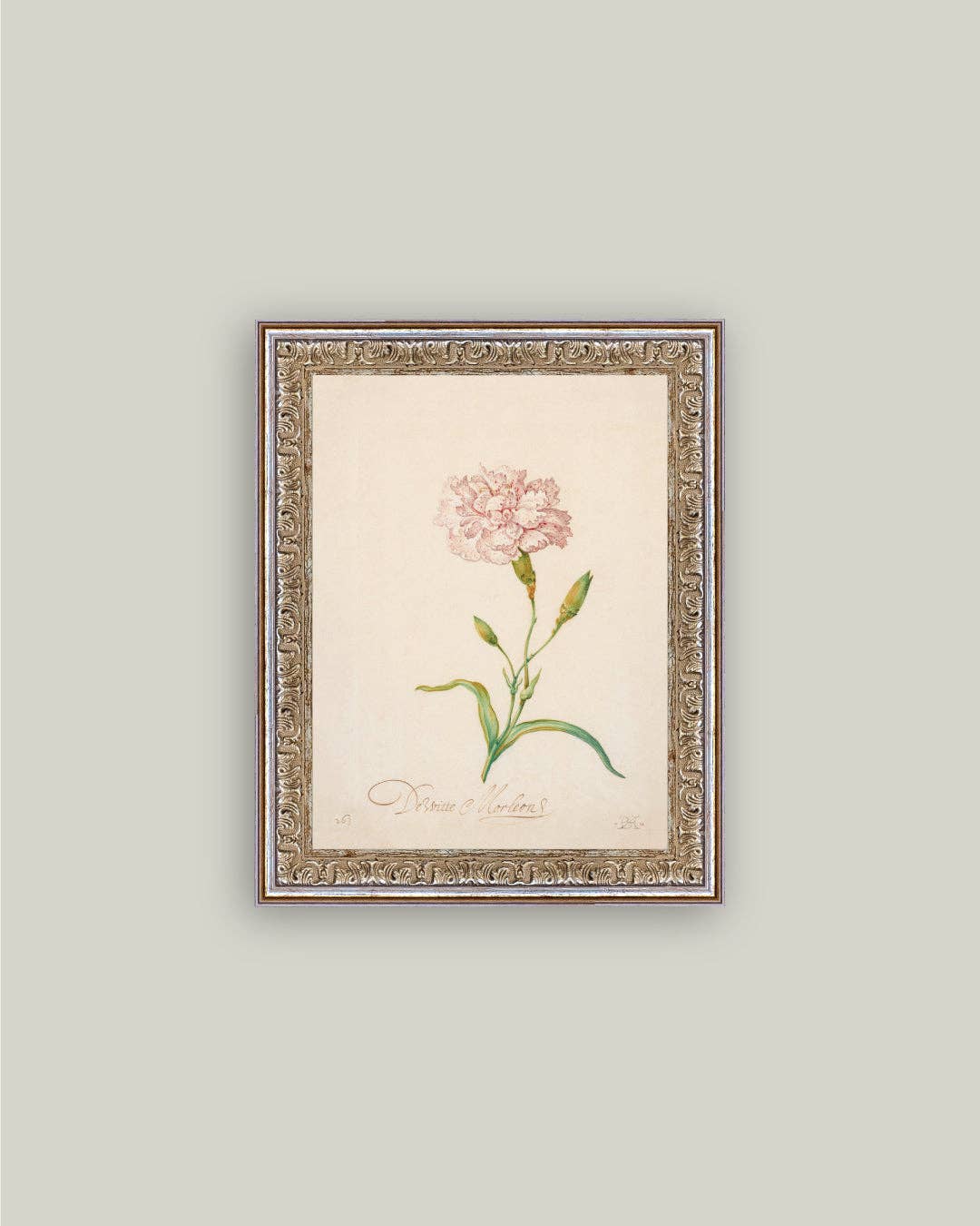 Pink Carnation Framed Antique Art