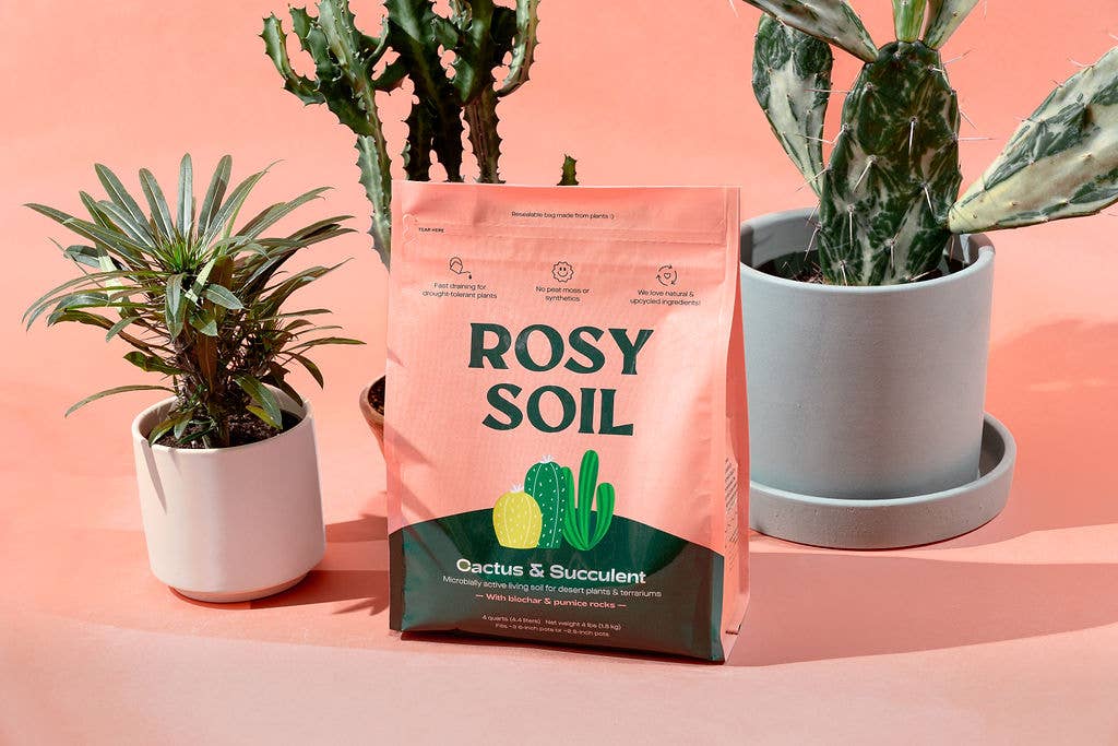 4qt Organic Cactus & Succulent Mix for Potted Plants