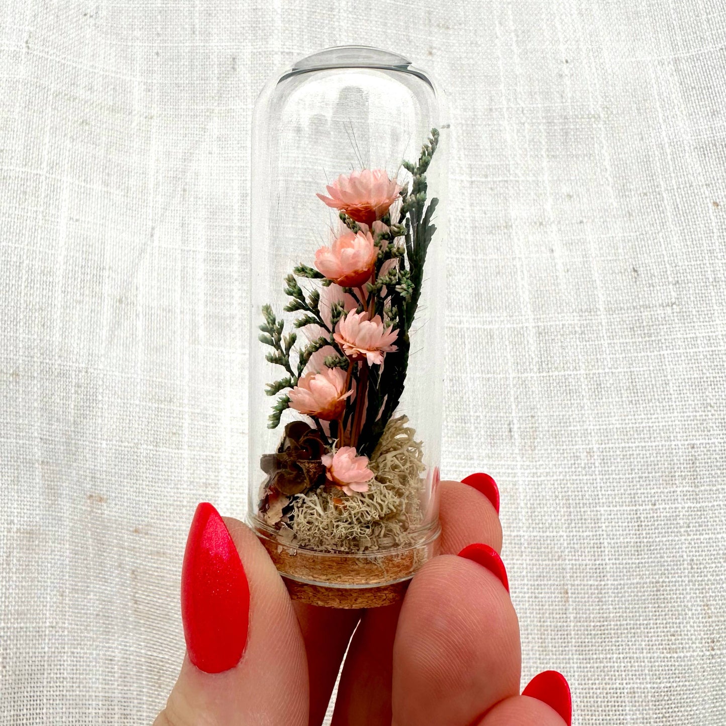 Valentine Mix Mini Terrarium Floral Cloche Apothecary Jar