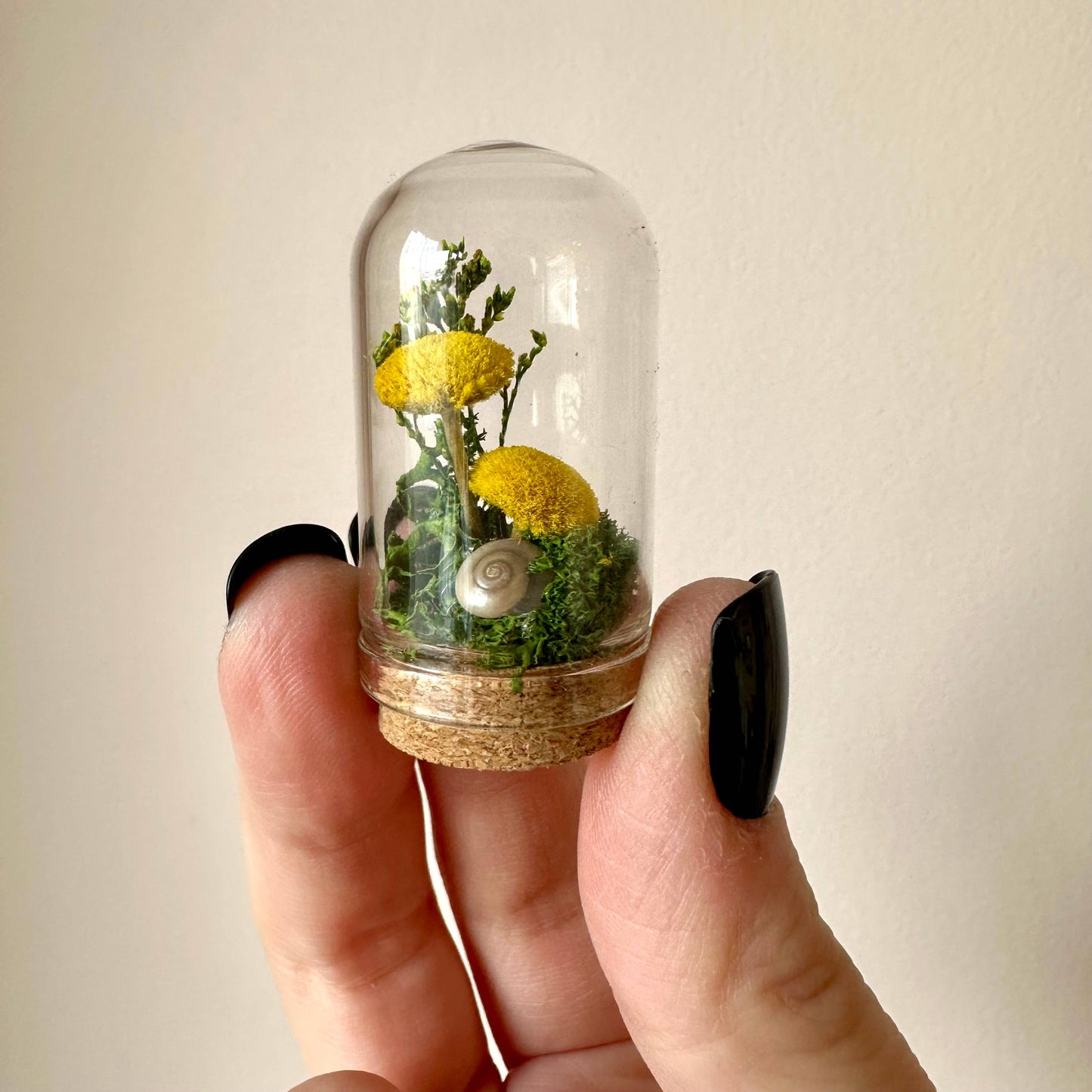Meadow Mix Mini Glass Cloche Terrarium w. Dried Florals
