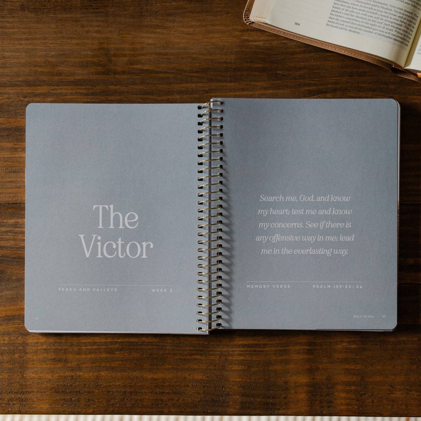 Peaks and Valleys: Learning to Look to Christ in Life's Highs and Lows | A Study on the Life of David - Men