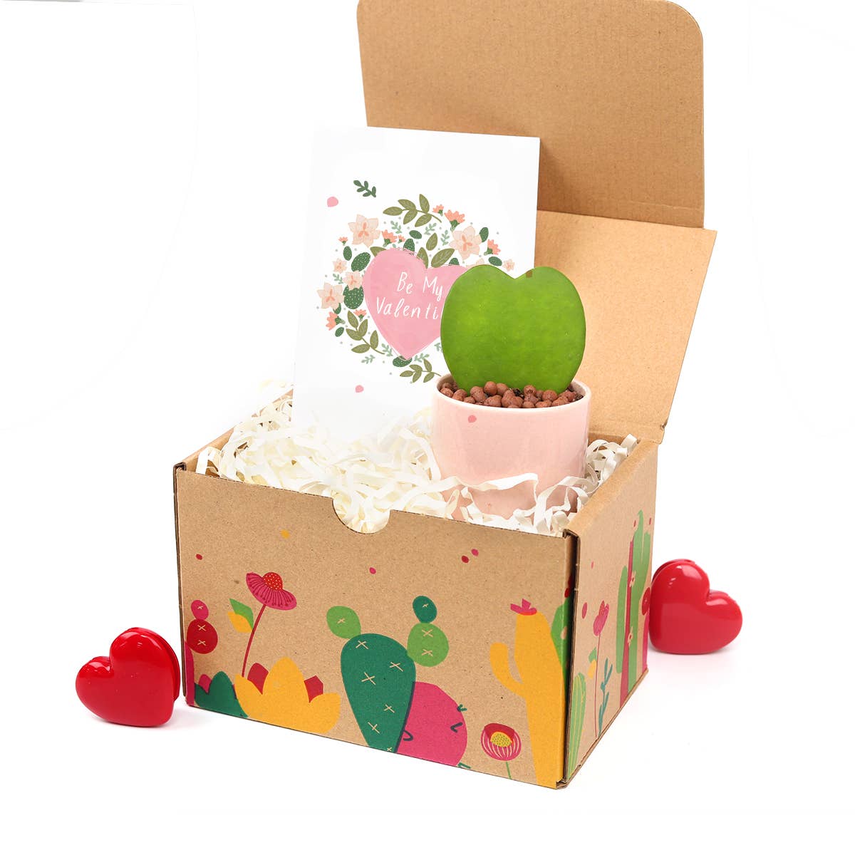 Valentine Gift Box - 1 Hoya Kerrii Heart - Gift Box Ideas