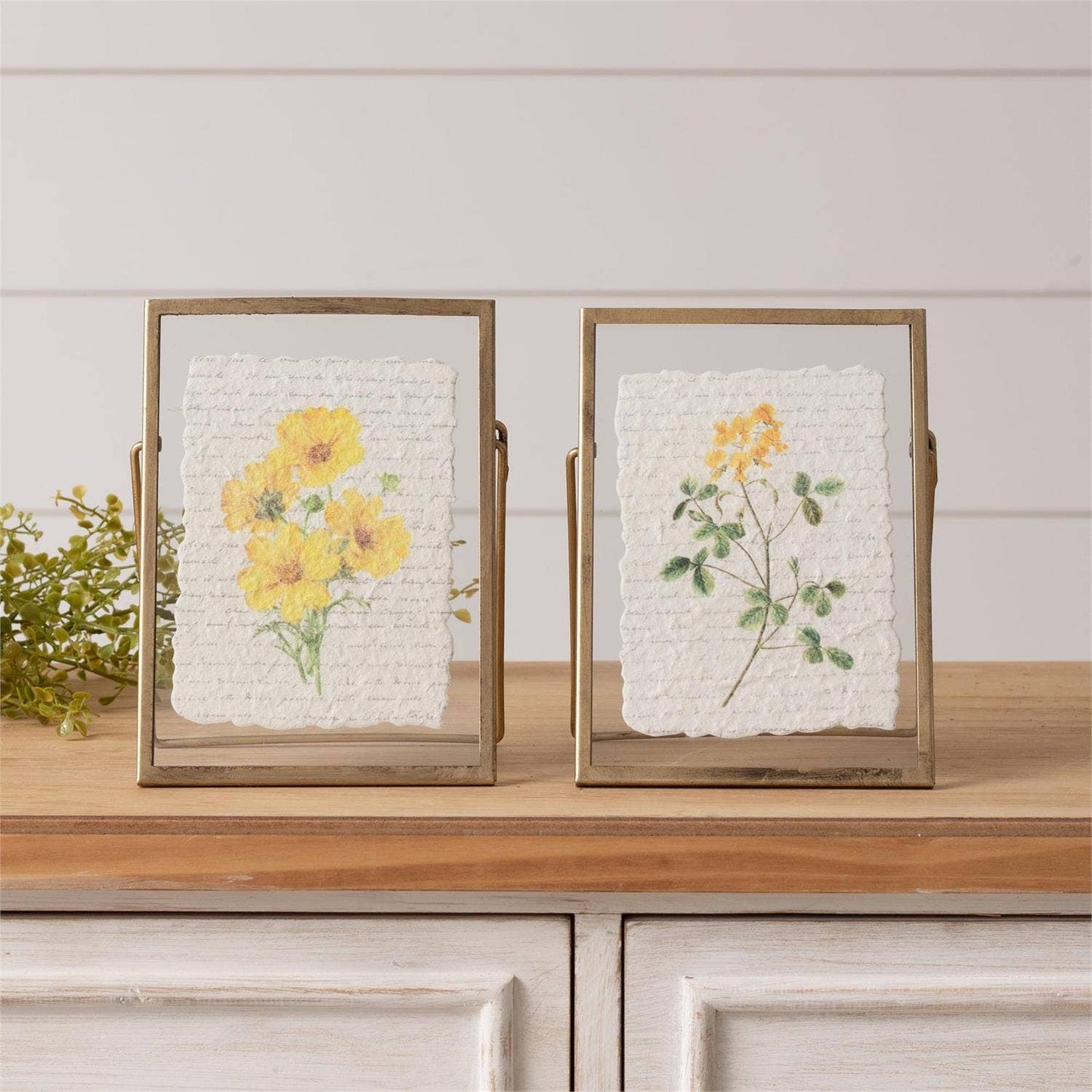 Gold Frames - Yellow Flowers (Pk/02 Ast)