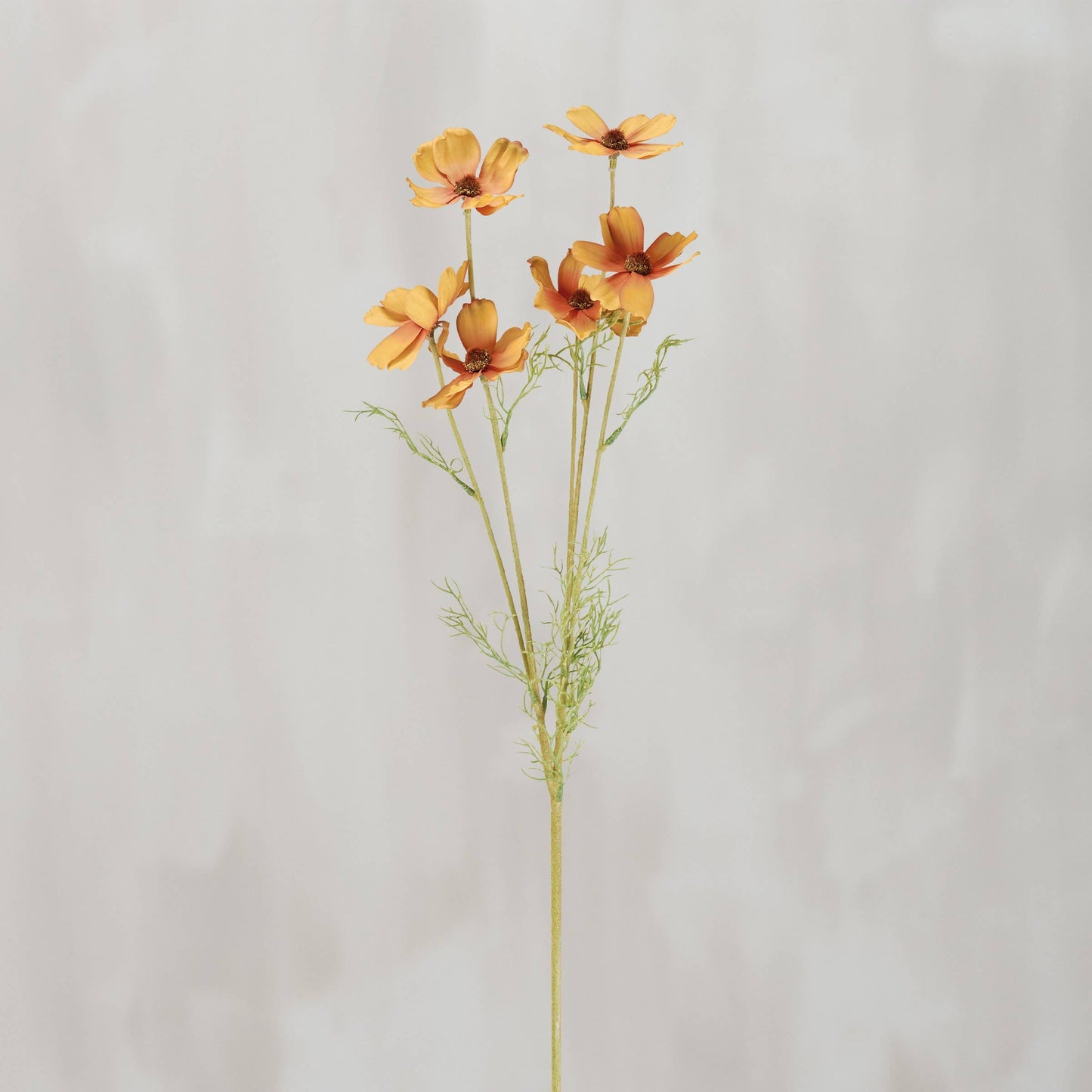 Yellow Cosmos Floral Pick