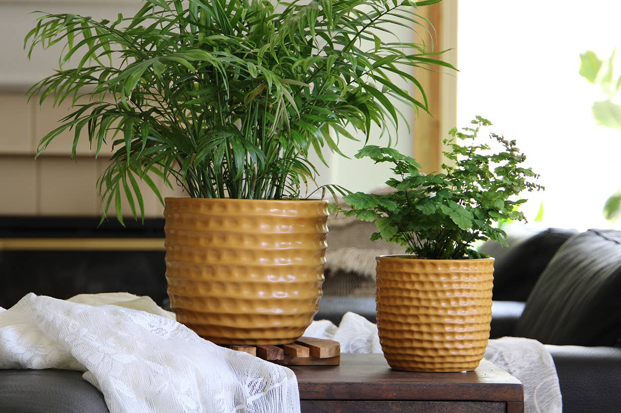 Honeycomb Planter, Mustard, 9"X8.5"