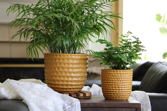 Honeycomb Planter, Mustard, 9"X8.5"