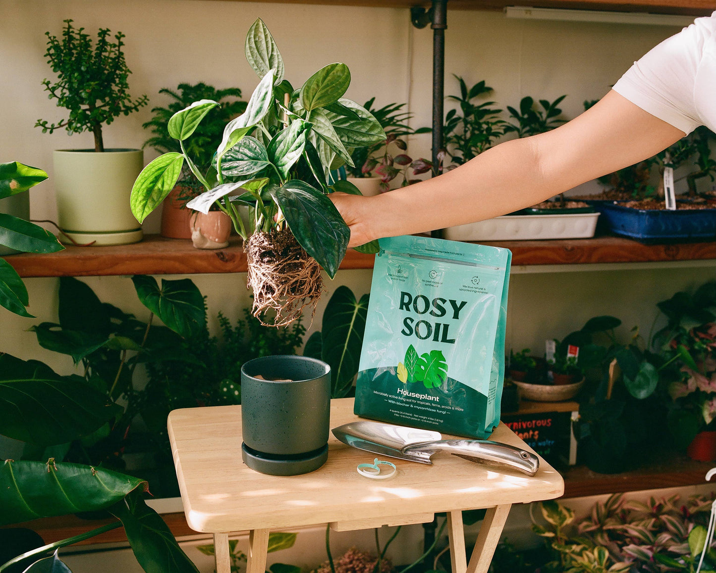 8qt Houseplant Mix for Potted Plants
