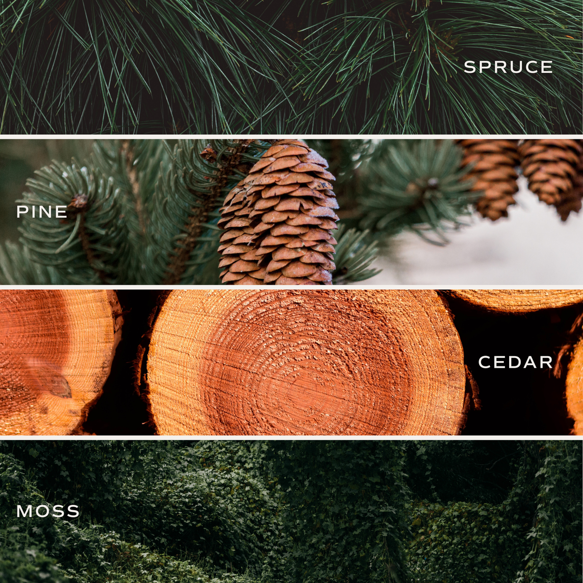 Christmas Tree Farm 15 oz Matte Soy Candle- Home Decor