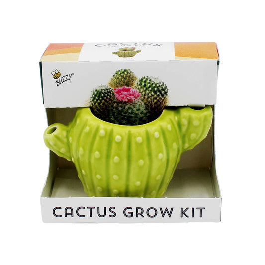Classic Cactus Grow Kit | Terracotta Planter | Indoor Gift