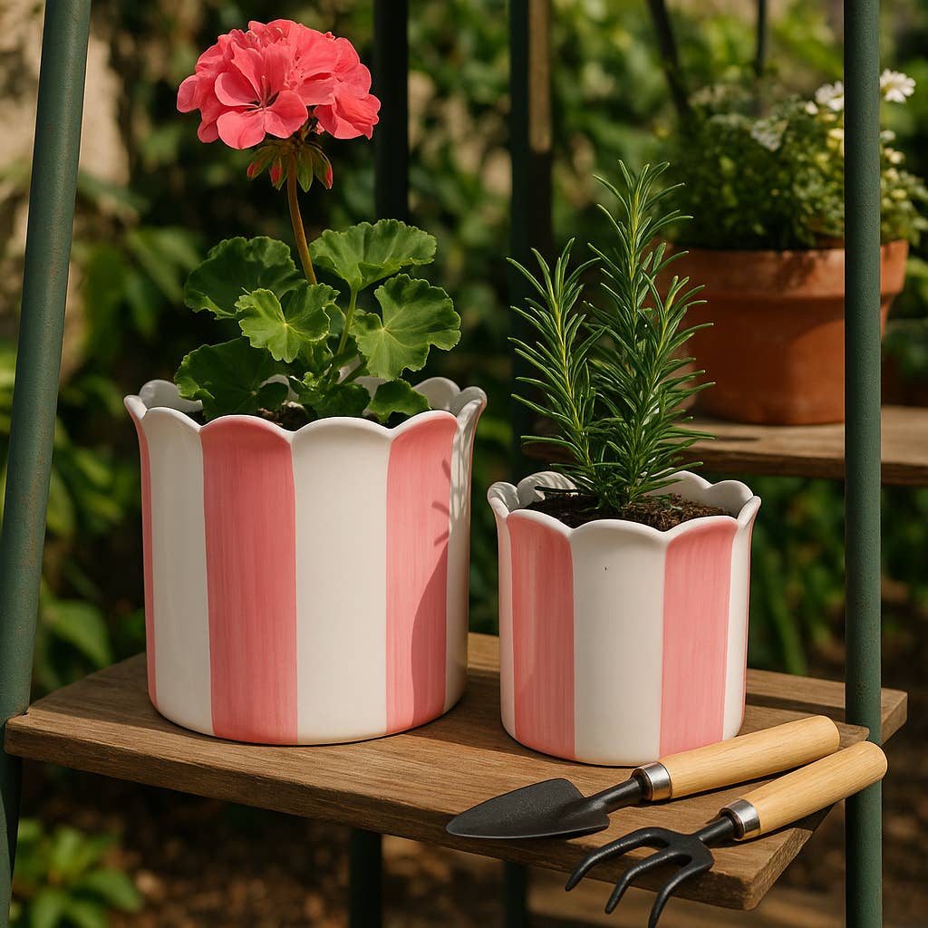 Planters Set of 2 - Pink Ceramic Striped Scallop, 6/8 in.