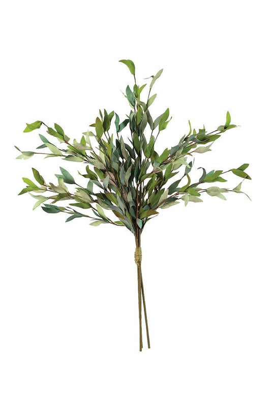 BOTANICA #2397