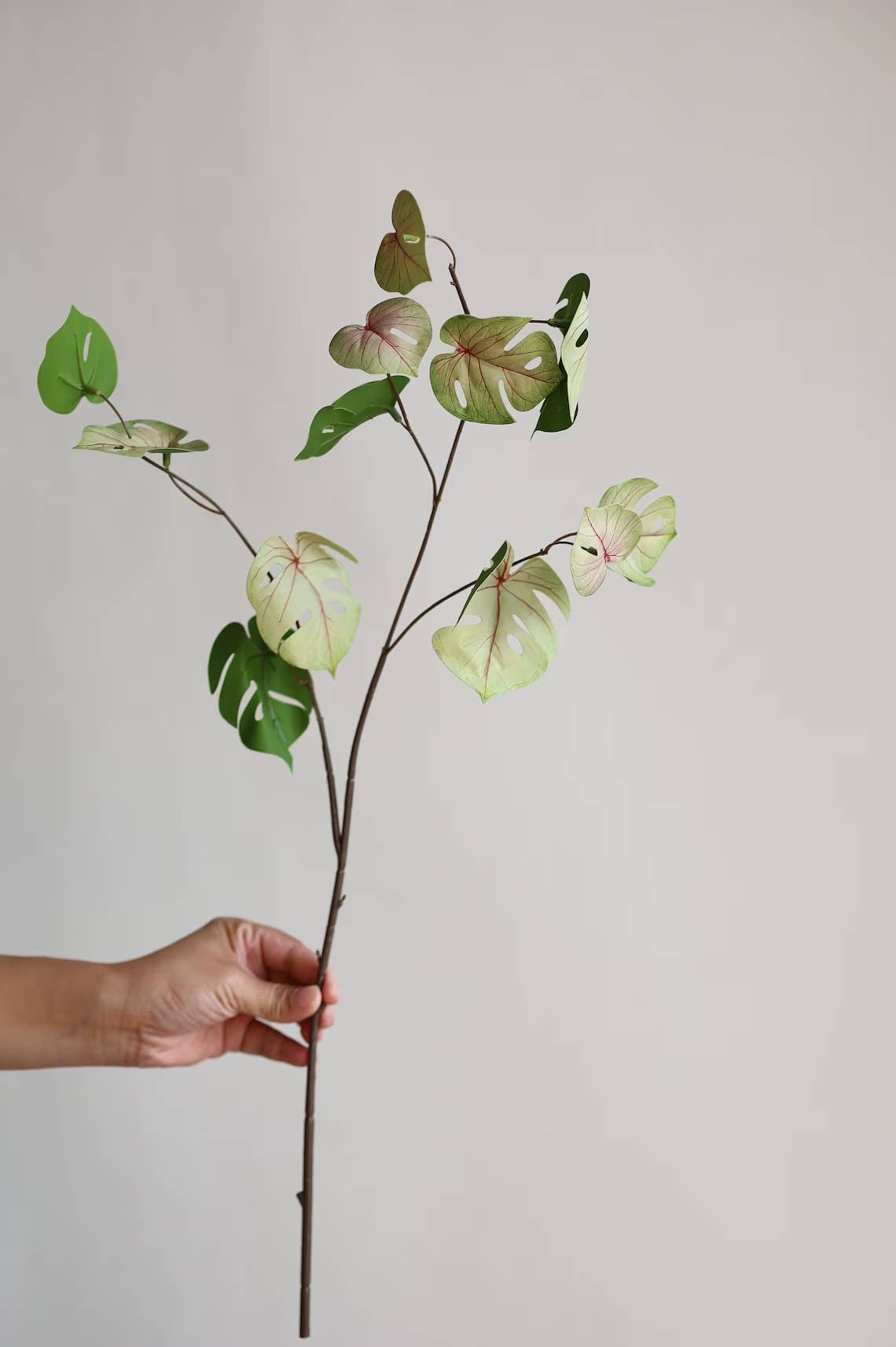 Designer’s Favorite – 27" Soft-Touch Faux Monstera Spray