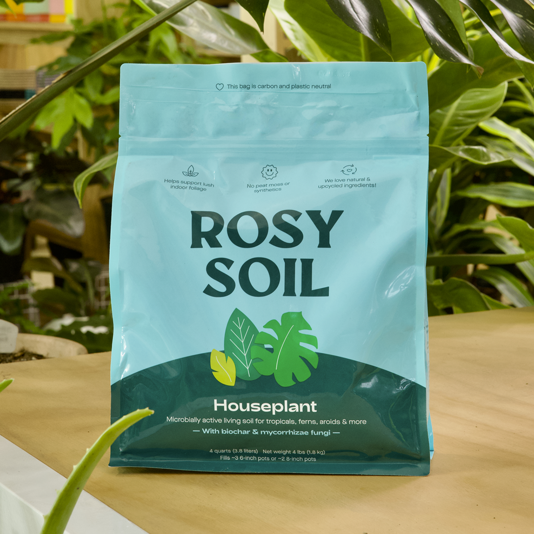8qt Houseplant Mix for Potted Plants