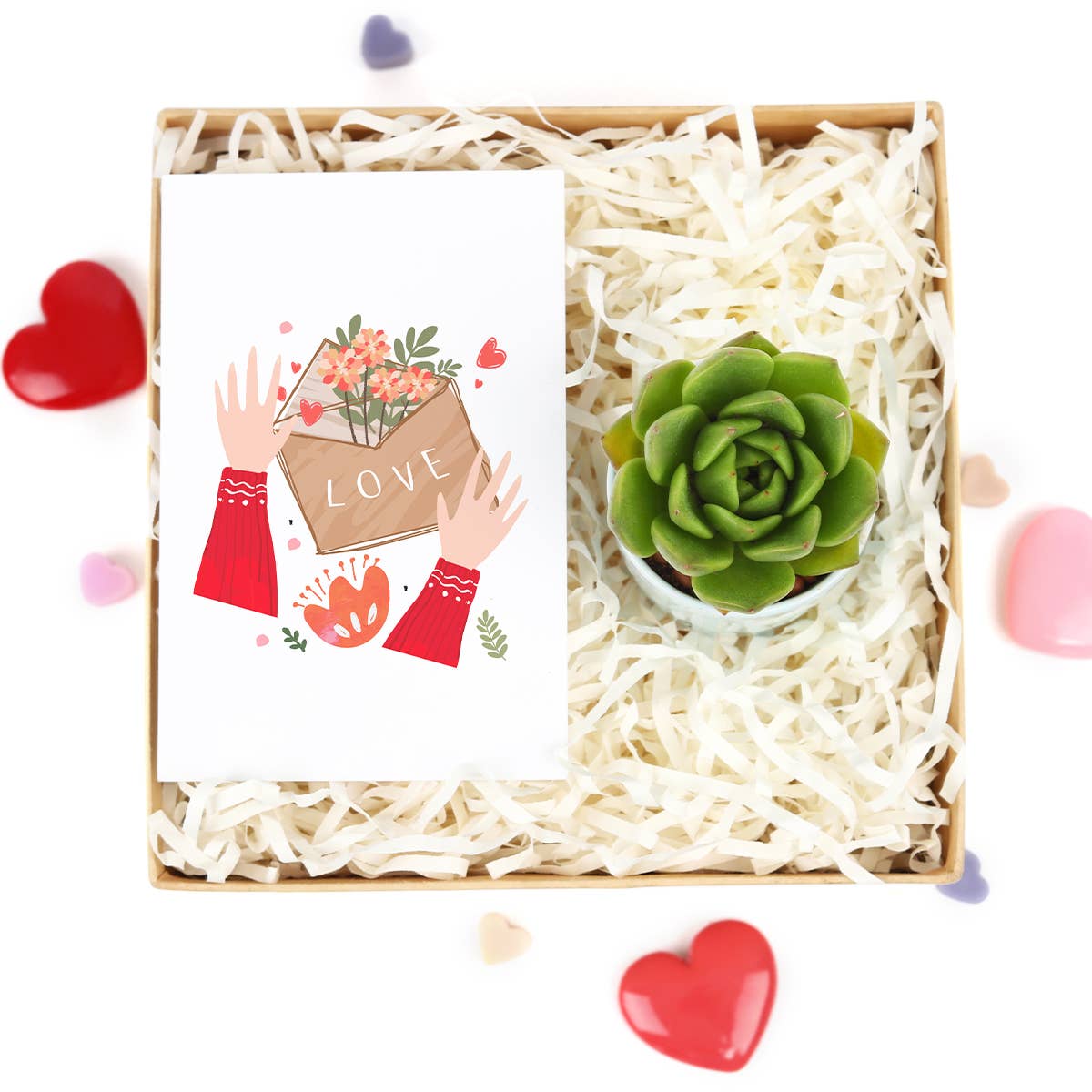 Valentine Gift Box - 1 Succulent - Gift Boxes Ideas For Her