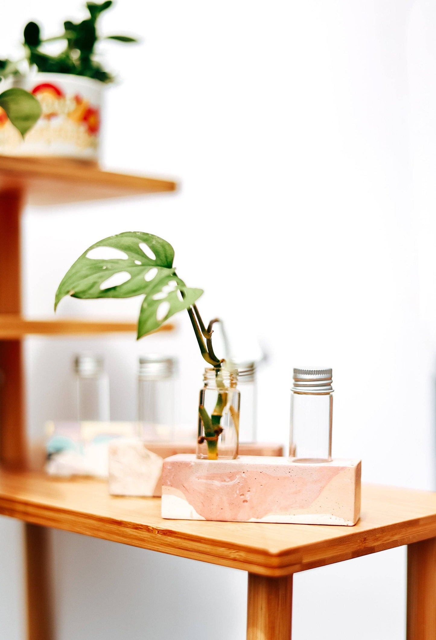 2 Vial Propagation Station Flower Bud Vase