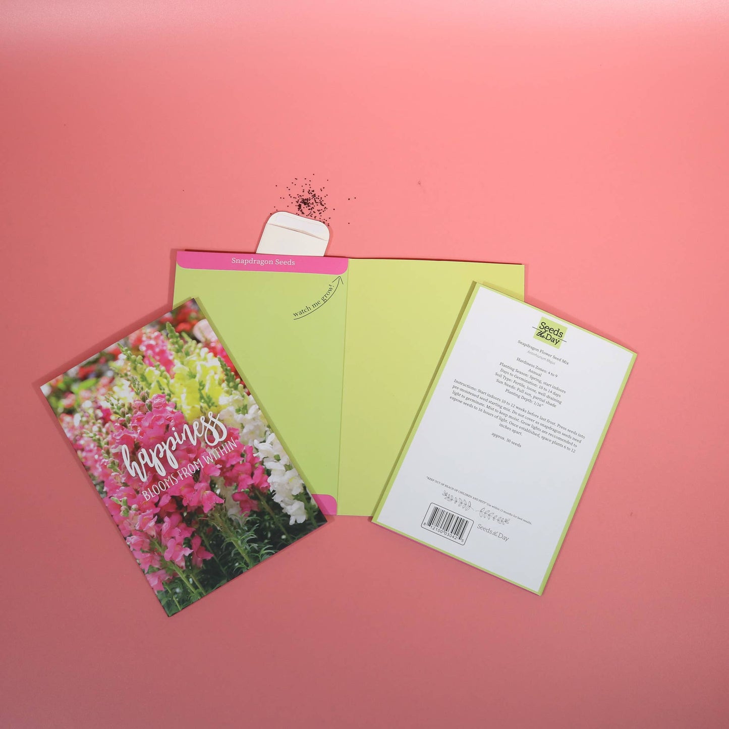 SEED PACKET GREETING CARDS | FREE Display w/36+ Cards