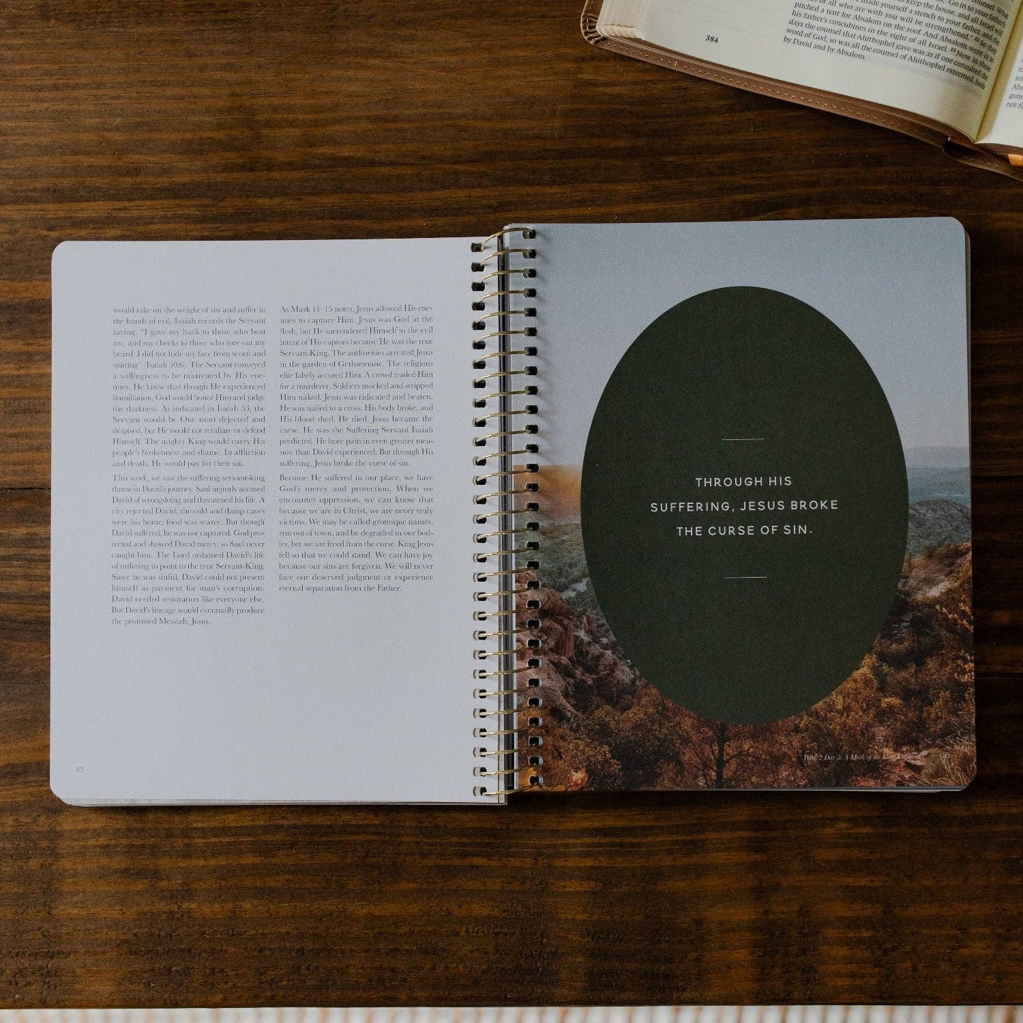 Peaks and Valleys: Learning to Look to Christ in Life's Highs and Lows | A Study on the Life of David - Men