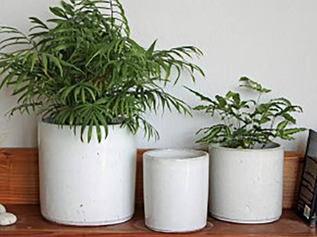 Begonia Planter White Spot Set Of 3 Various Sizes