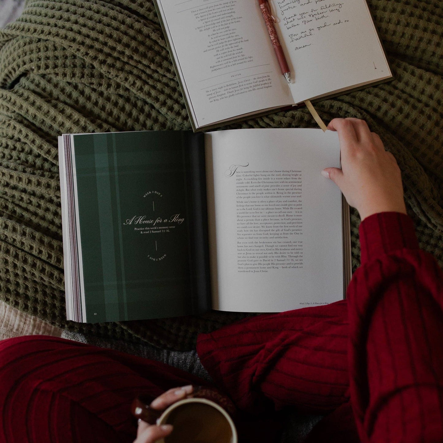 Awakening Wonder | Experiencing the Nearness of Jesus | 2025 Daily Grace Advent Study