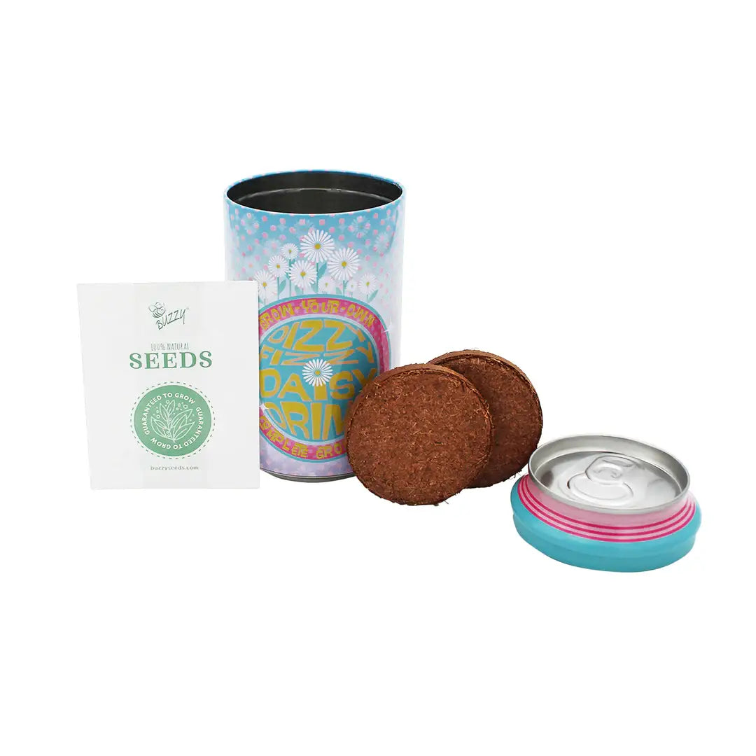 Daisy Grow Kit | Soda Can Planter | Indoor Gardening Kit 