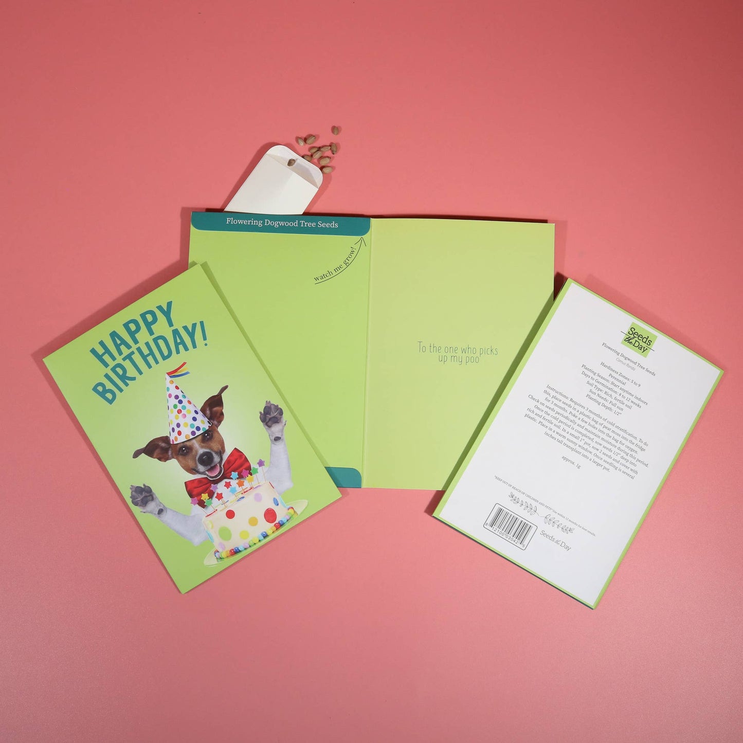 SEED PACKET GREETING CARDS | FREE Display w/36+ Cards