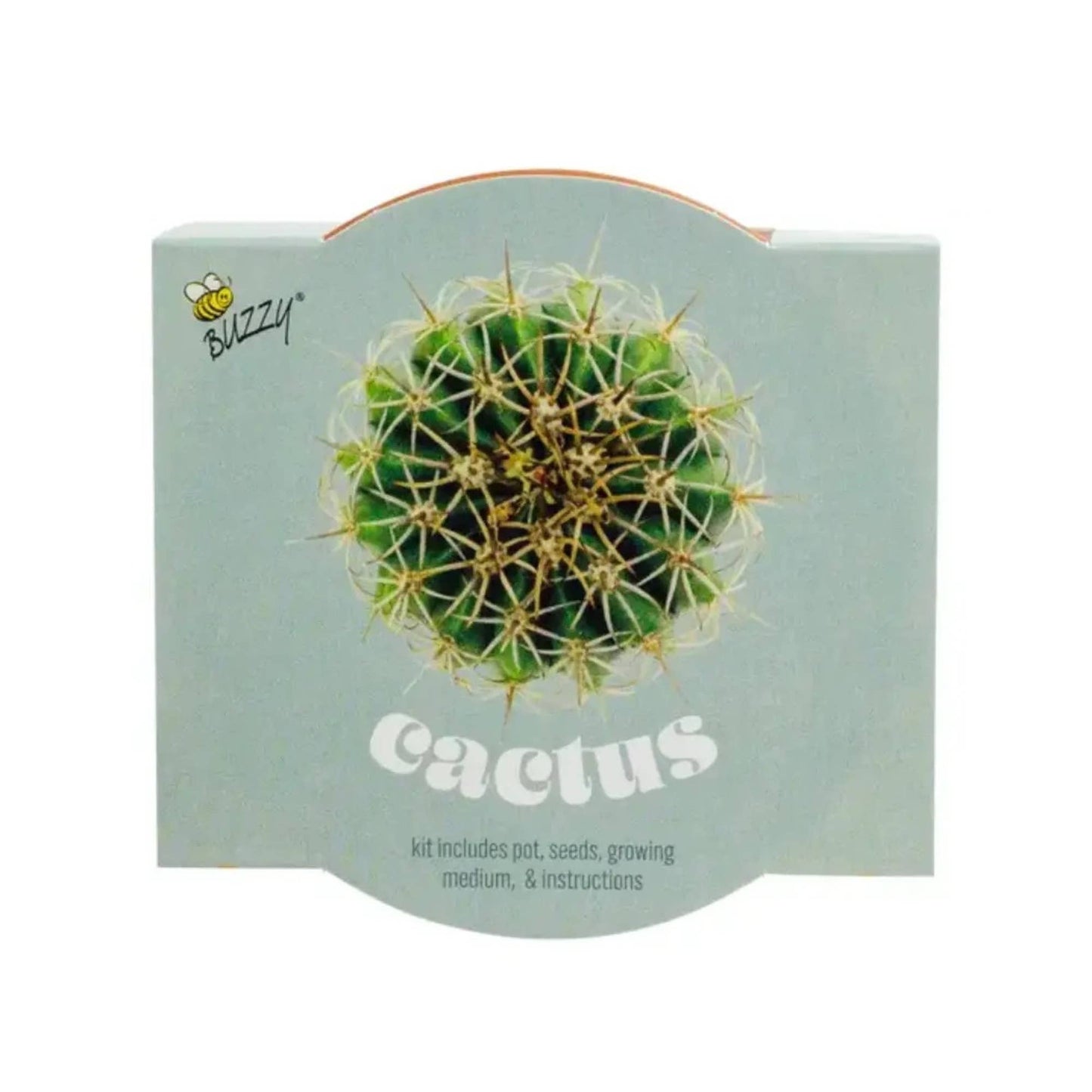Classic Terracotta Cactus Grow Kit | Indoor Gift | Gift Set