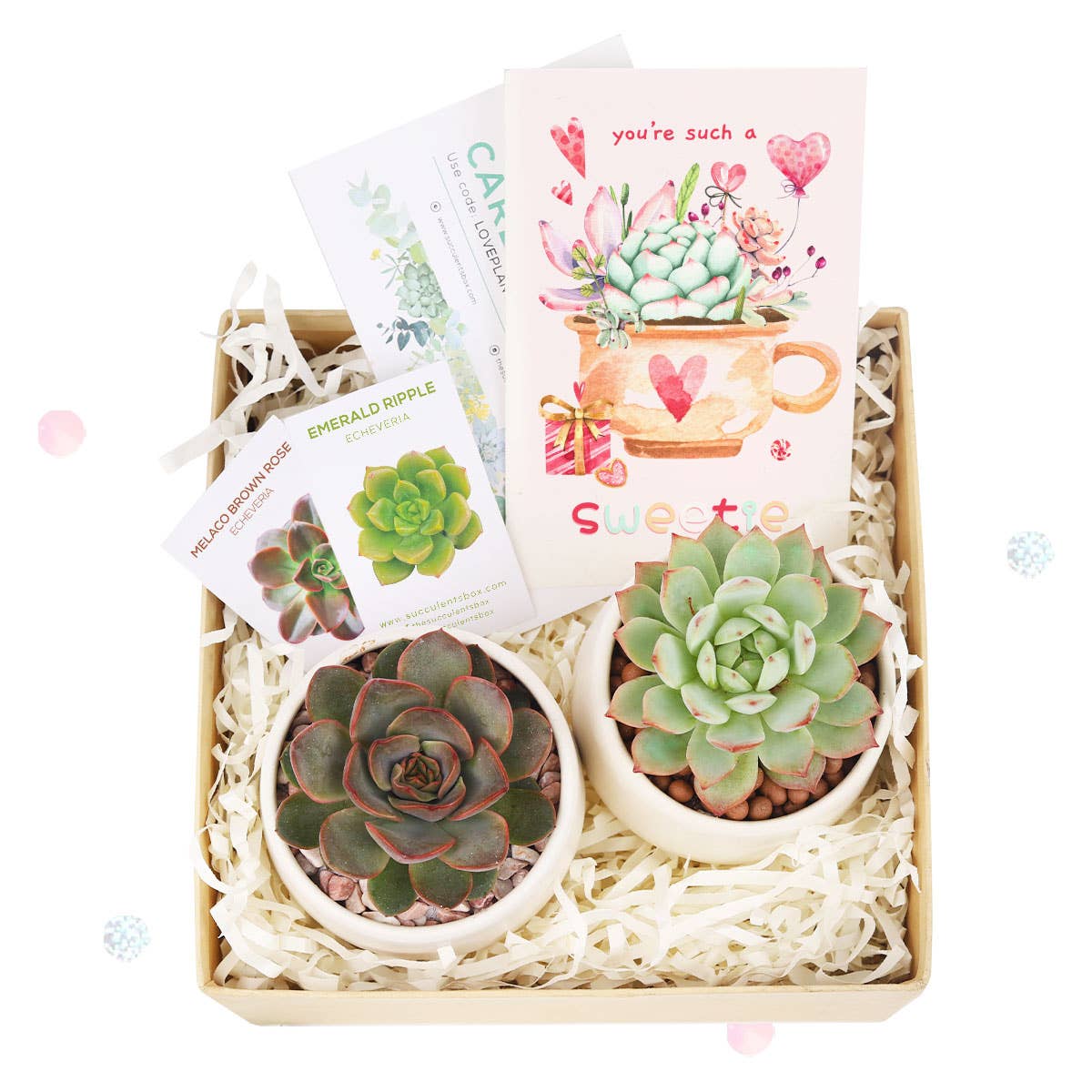 Valentine Gift Box - 2 Succulents - Gifts For Kids, Teens