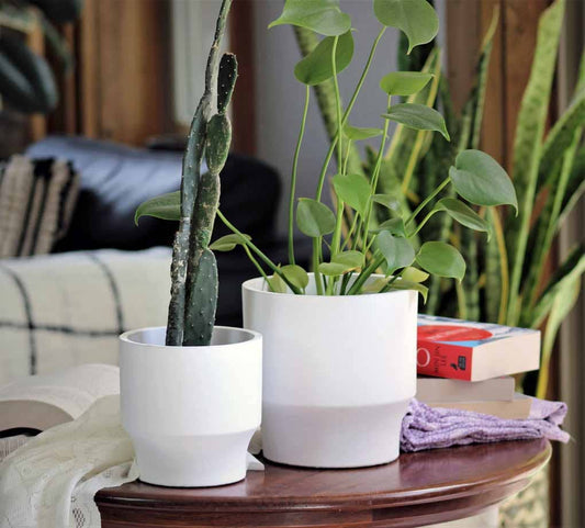 Art décor round planter - Sold in case of 8