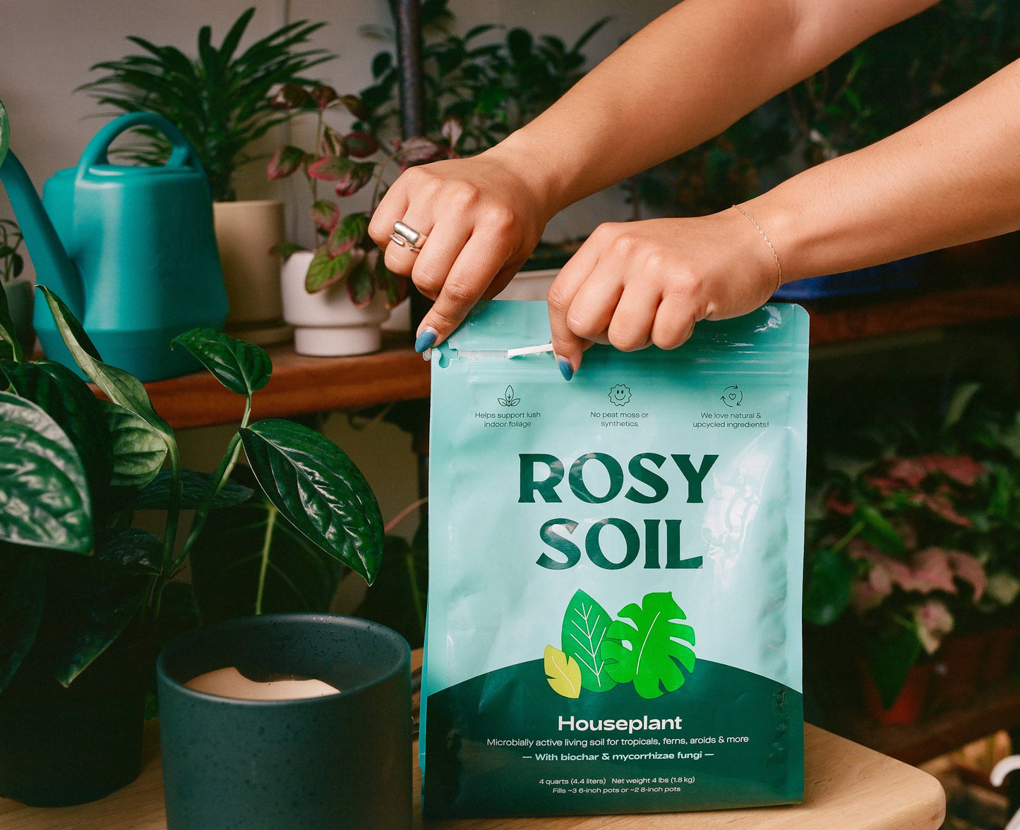 8qt Houseplant Mix for Potted Plants