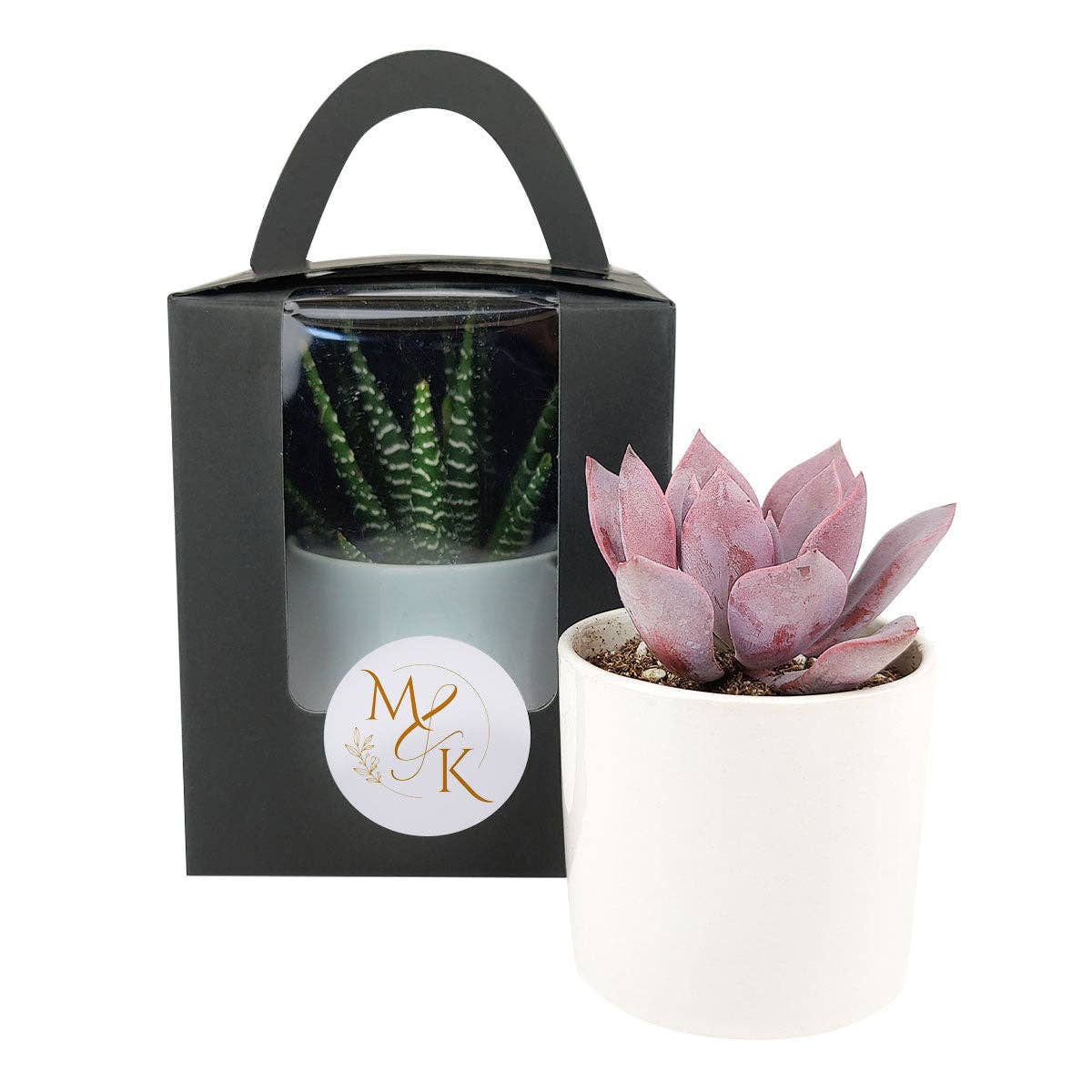 Plant Carrier Bag, Succulent Gift Box, Valentine Gift Ideas