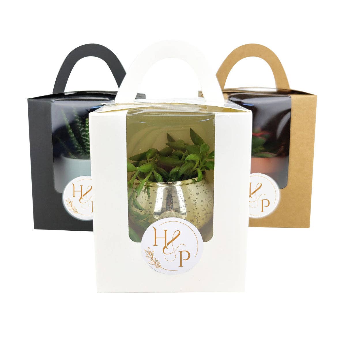 Plant Carrier Bag, Succulent Gift Box, Valentine Gift Ideas