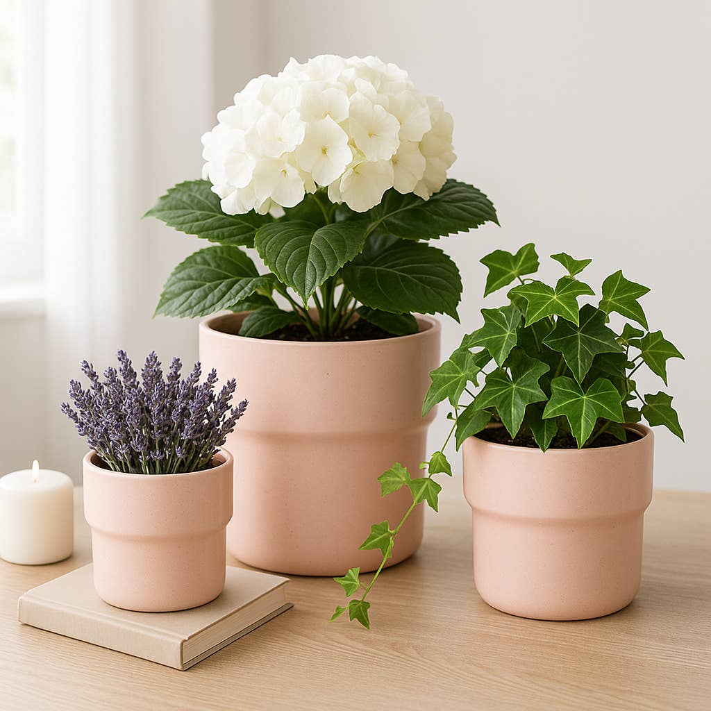 Planters Set of 3 - Pink Ceramic Round Mushroom, 7/9/10 in.
