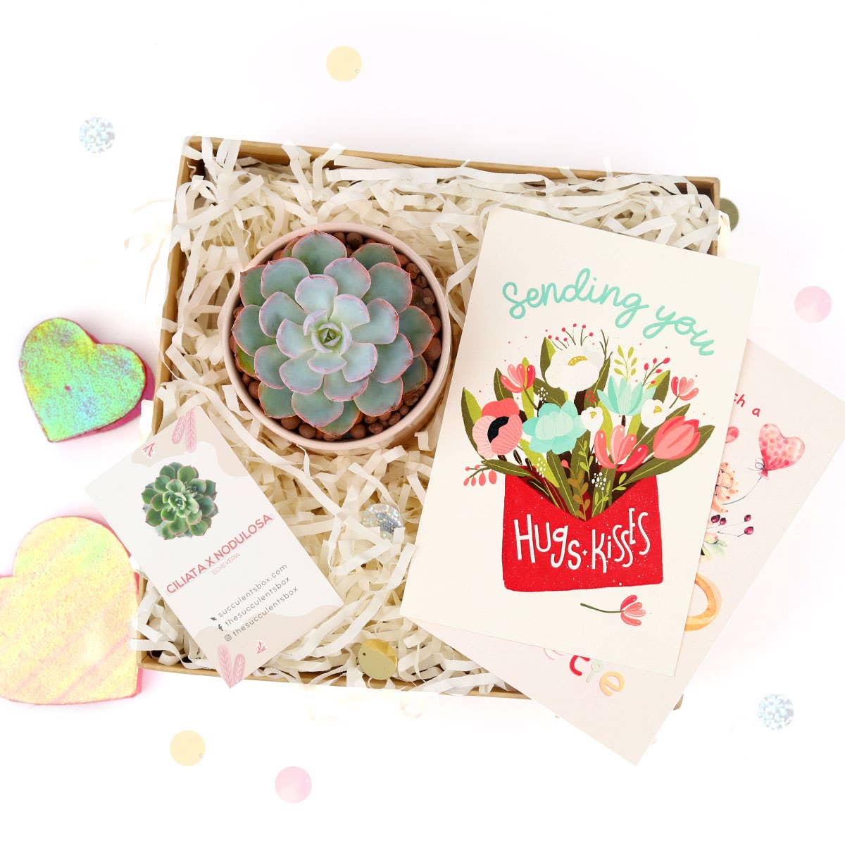 Valentine Gift Box - 1 Succulent - Gift Boxes Ideas For Her