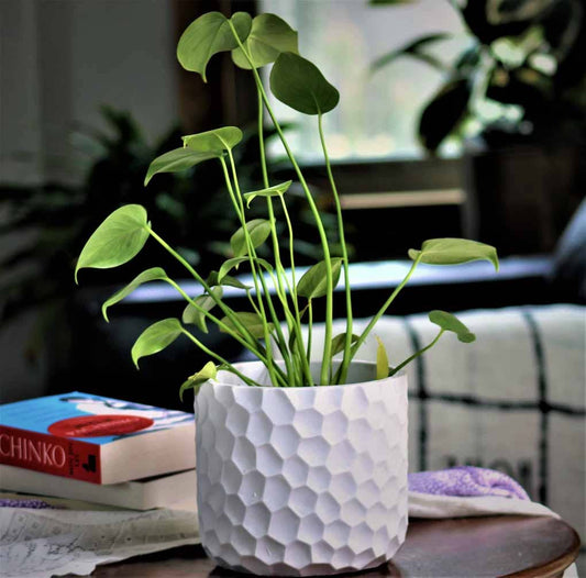 Art décor honey comb planter