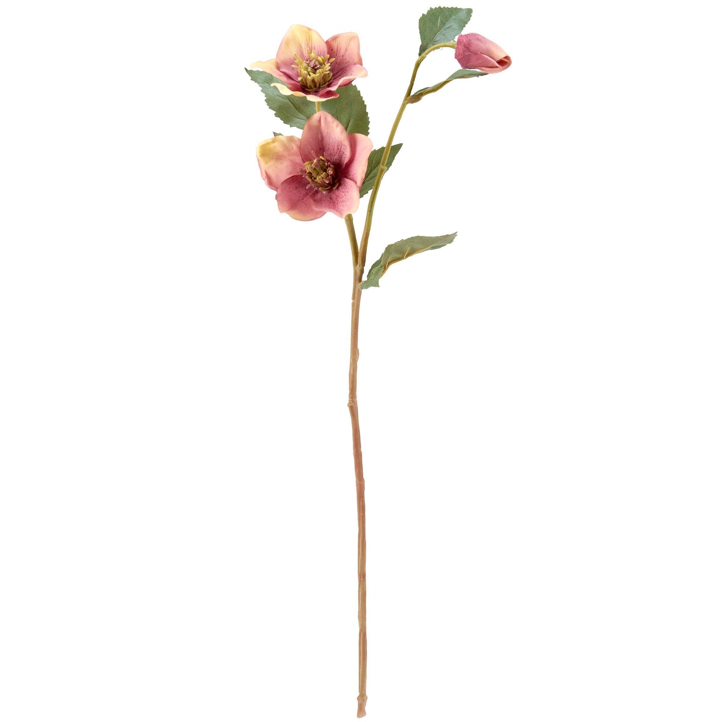 Pink Hellebore Floral Pick