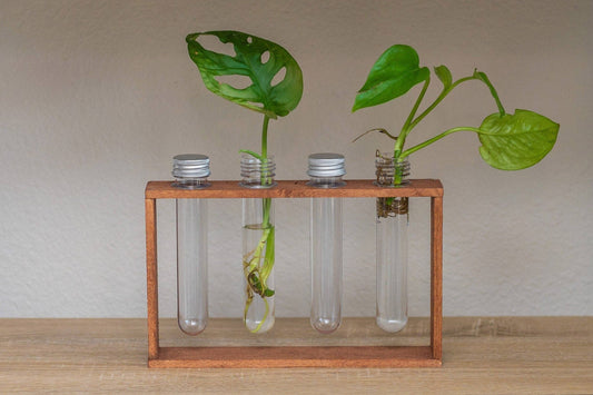4 Vial Table Top Propagation Station