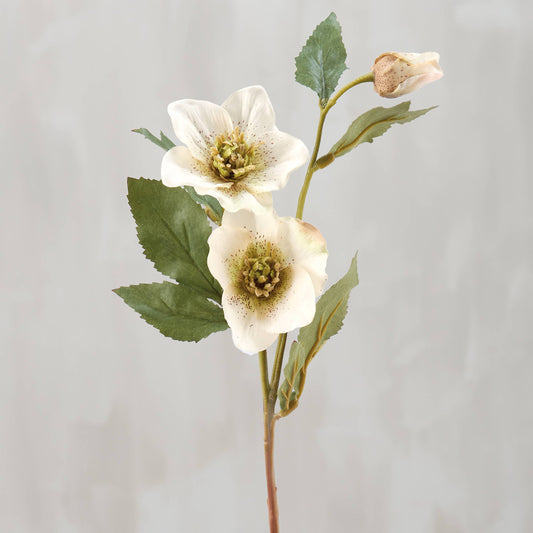 White Hellebore Floral Pick