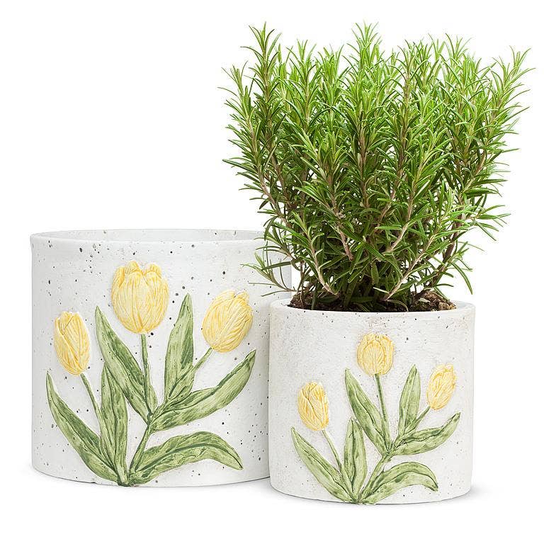 Planter with Tulip-Yellow