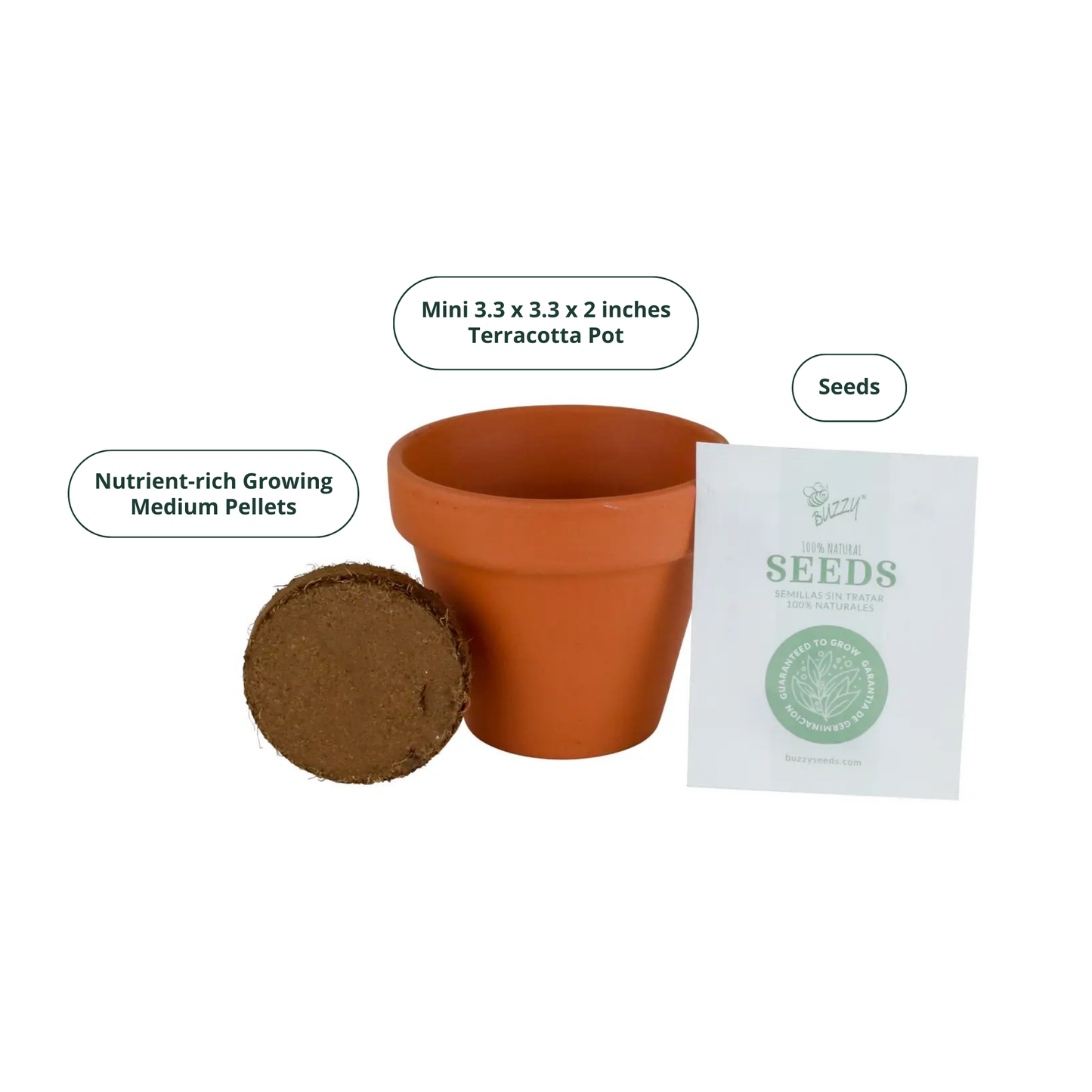 Classic Terracotta Cactus Grow Kit | Indoor Gift | Gift Set