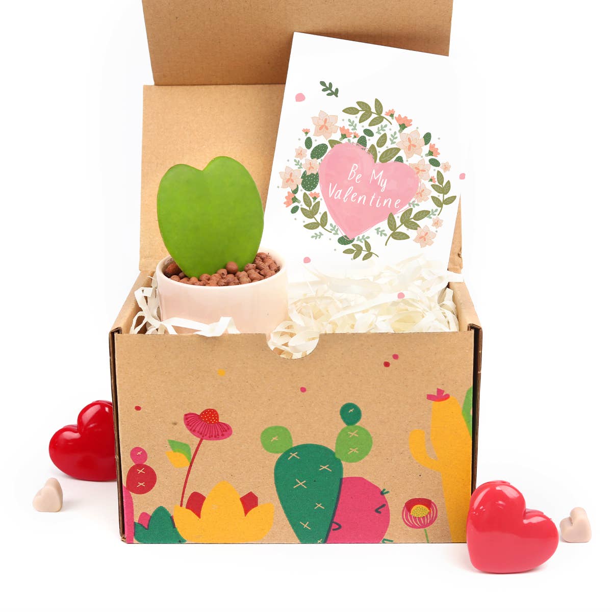 Valentine Gift Box - 1 Hoya Kerrii Heart - Gift Box Ideas