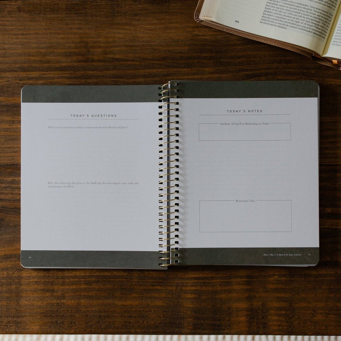 Peaks and Valleys: Learning to Look to Christ in Life's Highs and Lows | A Study on the Life of David - Men