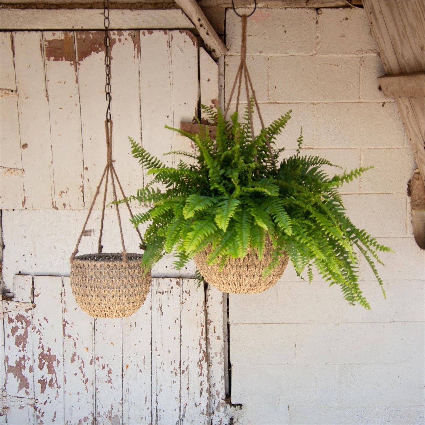 Hanging Seagrass Baskets (Set Of 02)