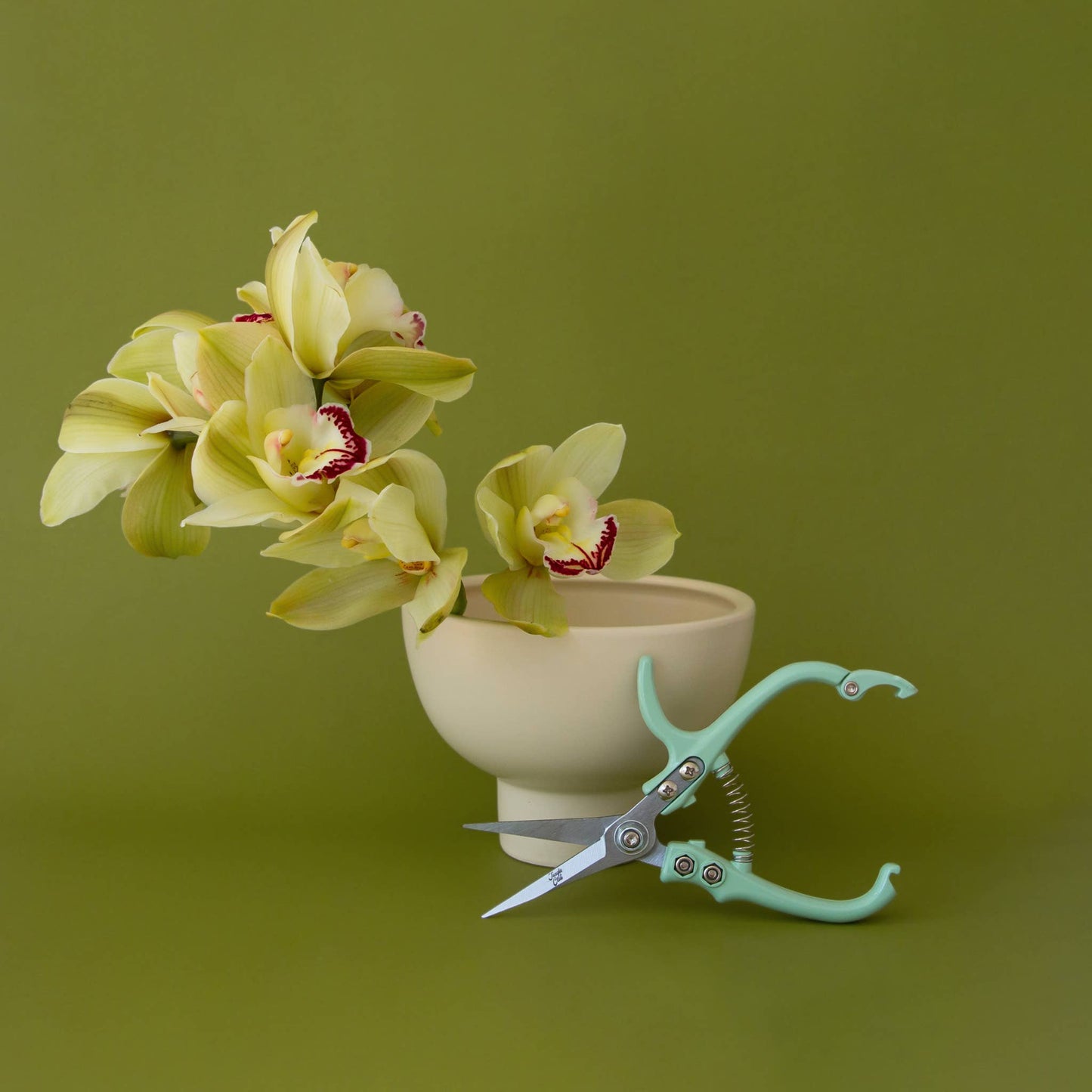 Pruning Shears | Lagoon