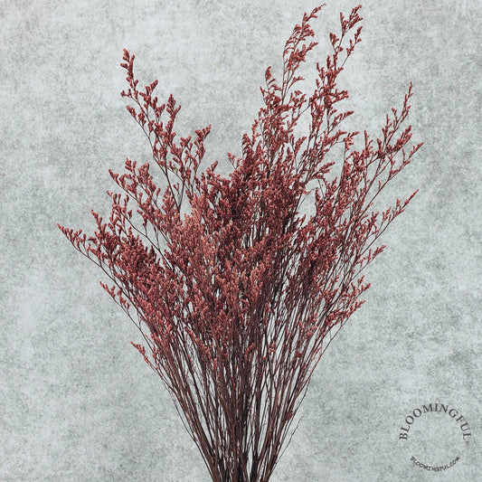 Preserved Limonium Caspia Flowers - Soft Burgundy Red (001)